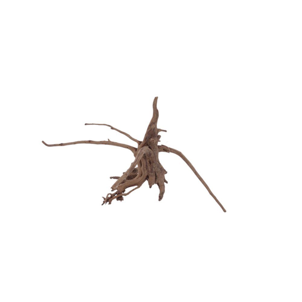 Thumbnail - Aquaone Aquarium L Siennawurzel Nr.5308 Wurzel Holz Aquarium Deko Aquascaping