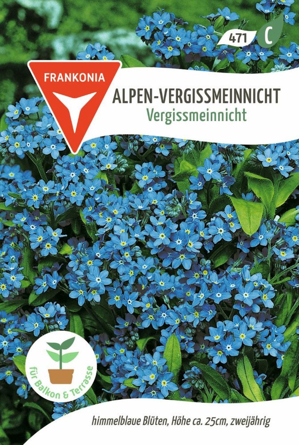 FRANKONIA Blumensamen Alpen-Vergissmeinnicht, Vergissmeinnicht - Saatgut Samen, Myosotis alpestris