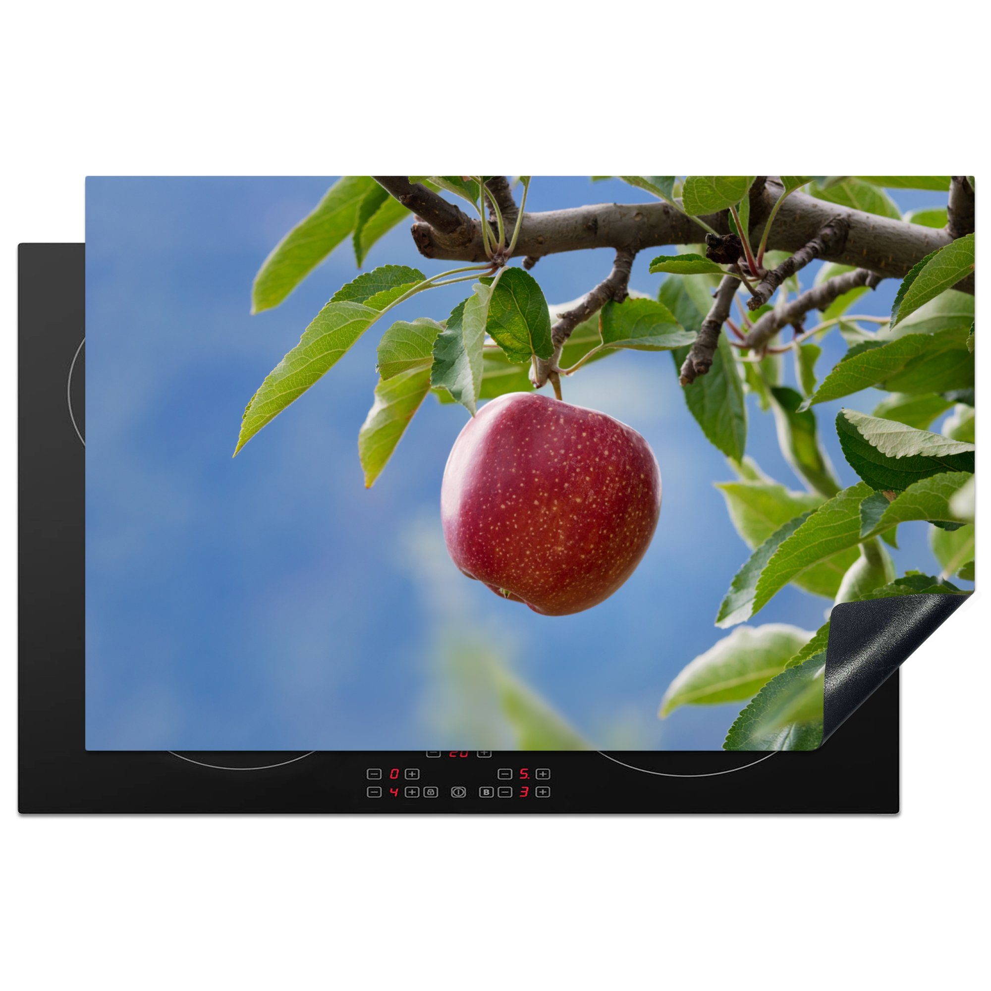 Induktionskochfeld Schutz Vinyl, cm, Baum, Herdblende-/Abdeckplatte Ceranfeldabdeckung küche, - tlg), für (1 - Obst die Apfel MuchoWow 81x52