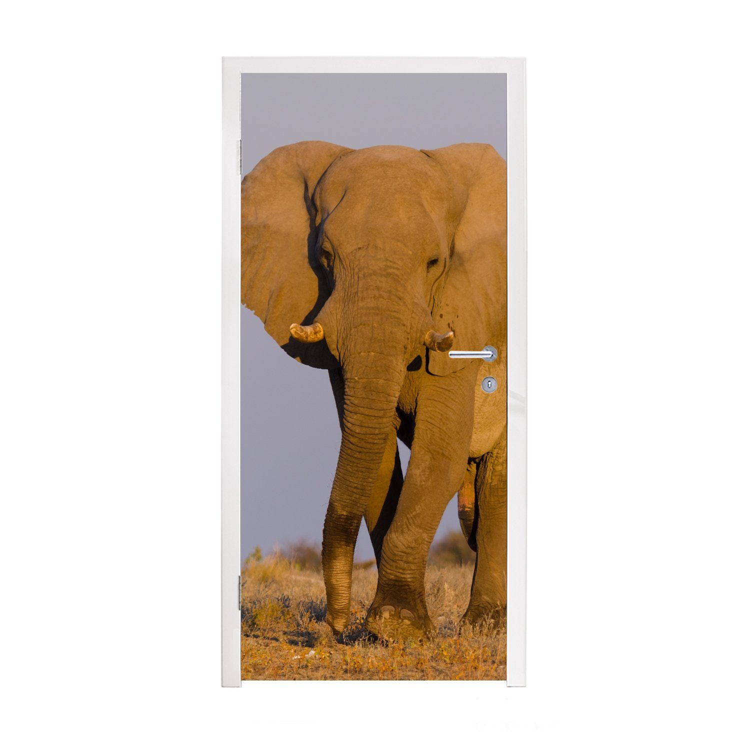MuchoWow Türtapete Afrikanischer Elefant im Sand, Matt, bedruckt, (1 St), Fototapete für Tür, Türaufkleber, 75x205 cm