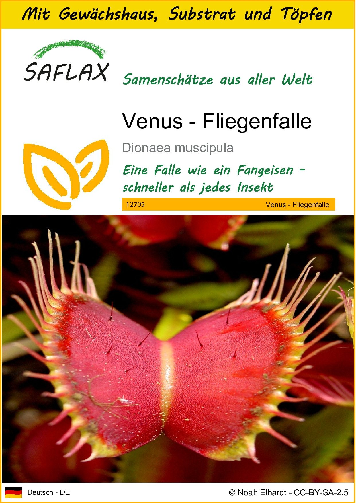 SAFLAX Blumensamen SAFLAX - Anzuchtset - günstig online kaufen