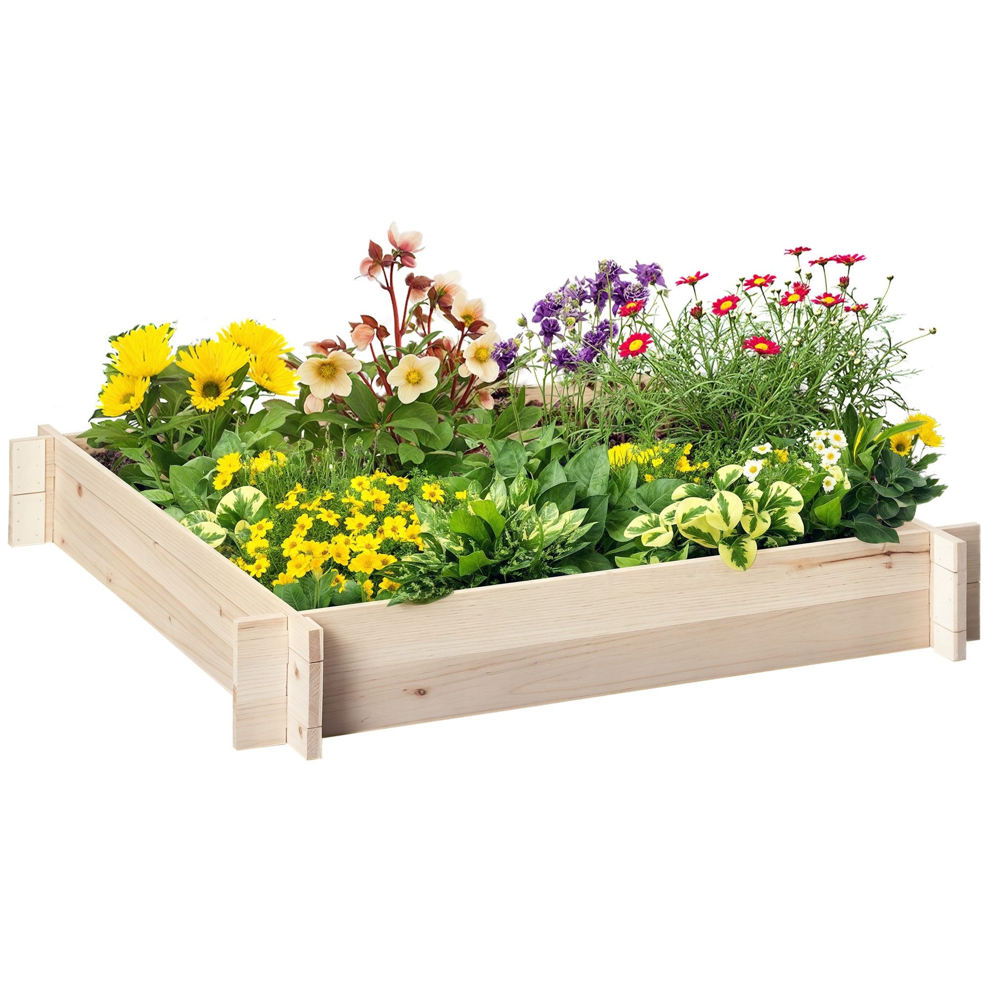 MC Star Hochbeet Gartenbeet aus Tannenholz, schraubenlose Montage, 100 x 100 x 16 cm