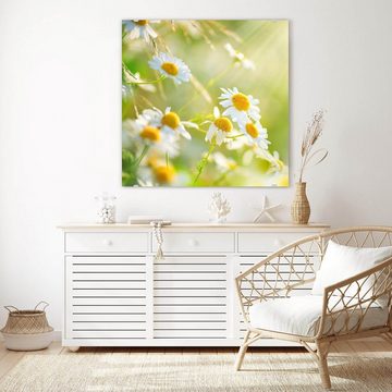 Primedeco Glasbild Wandbild Quadratisch Blüten im Sonnenschein mit Aufhängung, Natur