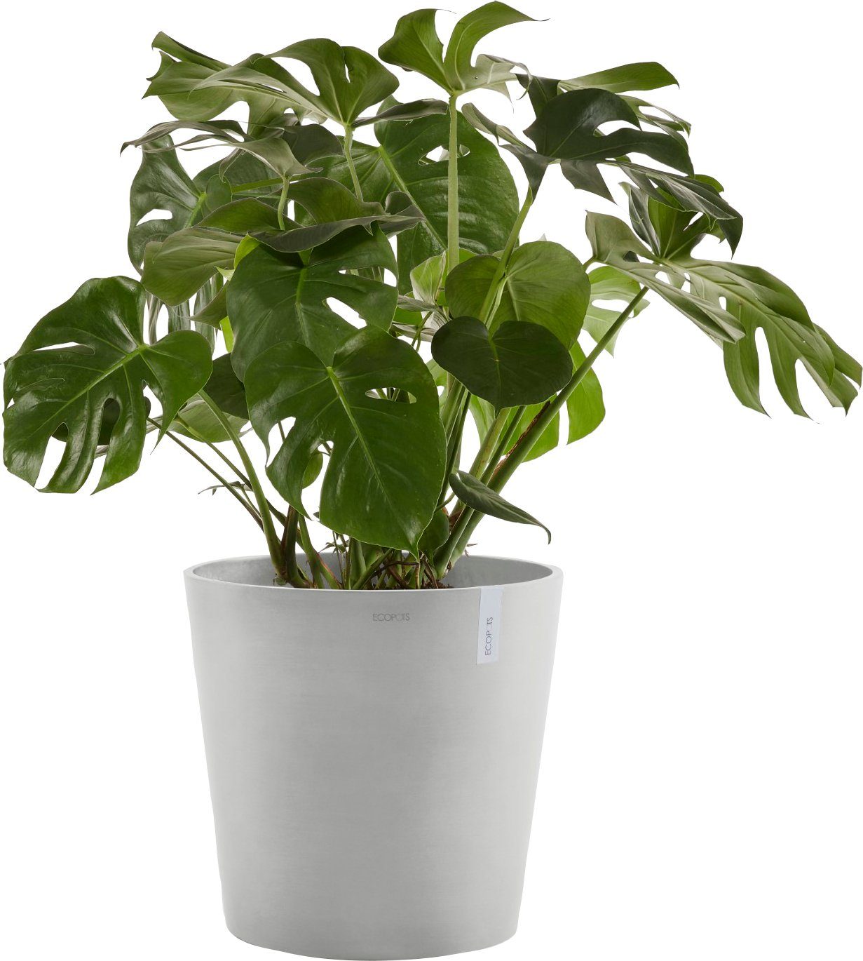 ECOPOTS Blumentopf AMSTERDAM White Grey, BxTxH: günstig online kaufen