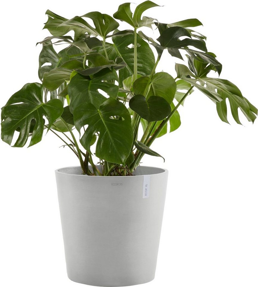 ECOPOTS Blumentopf AMSTERDAM White Grey, BxTxH: 50x50x43,8 cm, mit  Wasserreservoir