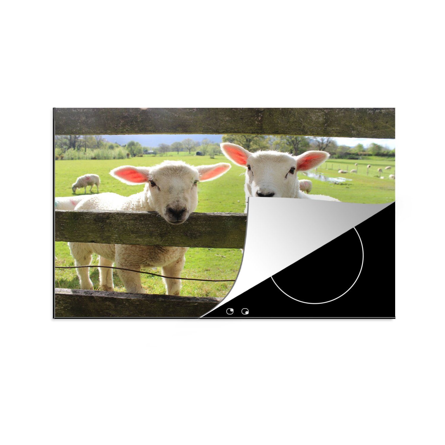 für Vinyl, tlg), MuchoWow Ceranfeldabdeckung Induktionskochfeld Tiere Bauernhof, (1 Schutz küche, die cm, - - Schafe Herdblende-/Abdeckplatte 80x52