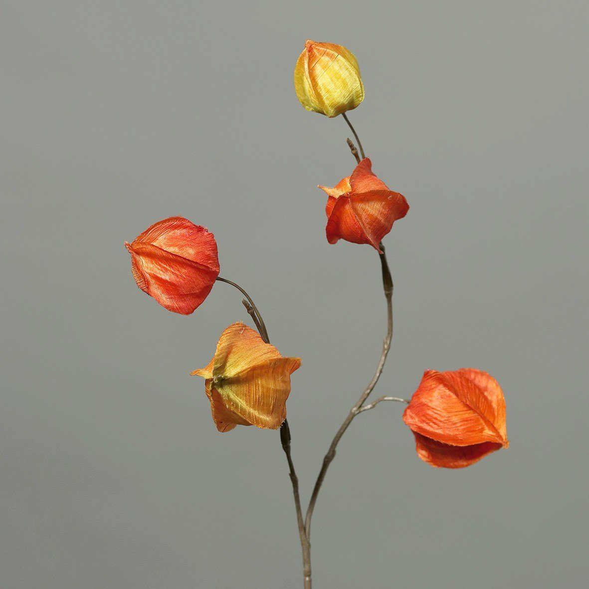 Kunstpflanze, DPI, Höhe 45 cm, Orange B:15cm H:45cm Kunststoff