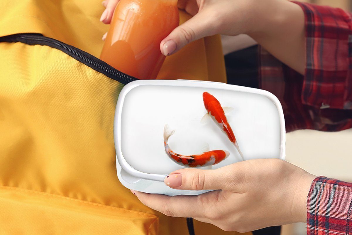 MuchoWow Lunchbox Zwei orangefarbene weißen Jungs Koi-Karpfen Hintergrund, vor und Kinder Kunststoff, (2-tlg), für Brotbox Erwachsene, und einem Brotdose, für Mädchen