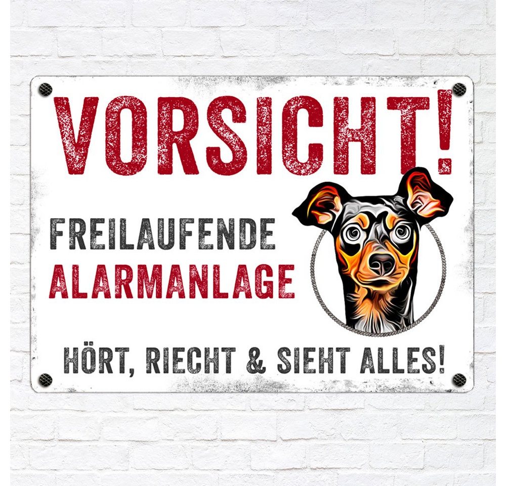 Thumbnail - Cadouri Warnschild Hundewarnschild ZWERGPINSCHER - Hinweisschild mit Hunderasse, (Metallschild mit vier vorgebohrten Löc...