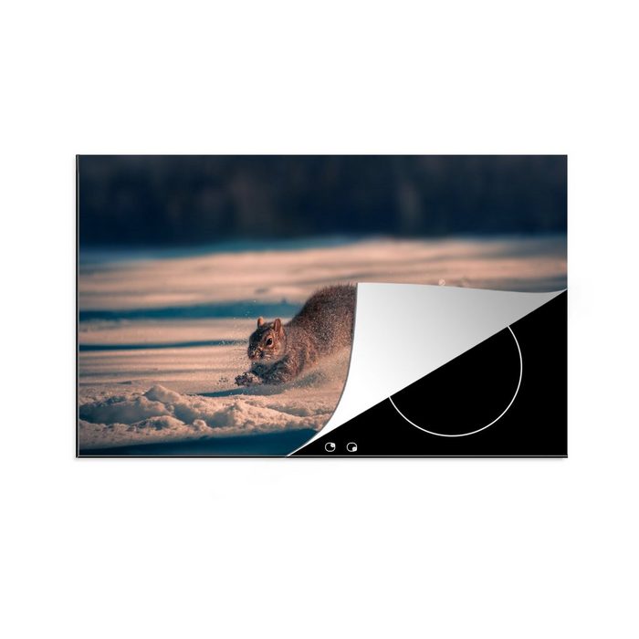 MuchoWow Herdblende-/Abdeckplatte Eichhörnchen - Licht - Schnee Vinyl (1 tlg) Ceranfeldabdeckung Arbeitsplatte für küche