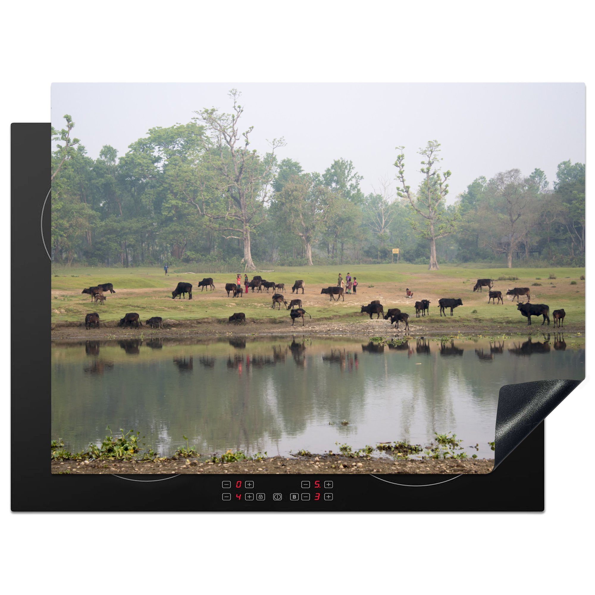 MuchoWow Herdblende-/Abdeckplatte Weidende Tiere am Wasser im Chitwan-Nationalpark, Nepal, Vinyl, (1 tlg), 70x52 cm, Mobile Arbeitsfläche nutzbar, Ceranfeldabdeckung