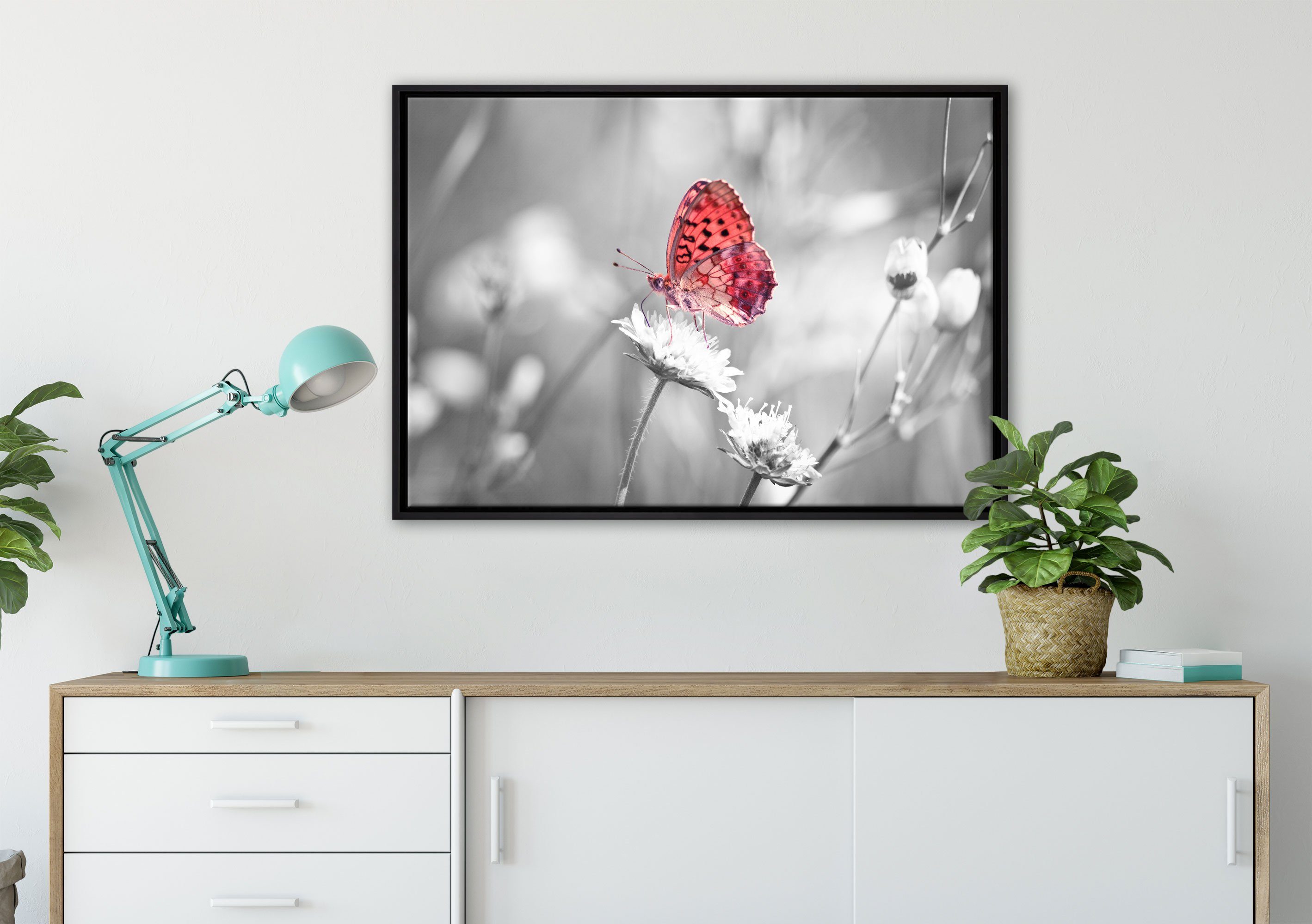 Leinwandbild Schmetterling gefasst, Zackenaufhänger auf Wanddekoration fertig Schattenfugen-Bilderrahmen St), inkl. in Blüte, Pixxprint einem bespannt, Leinwandbild (1