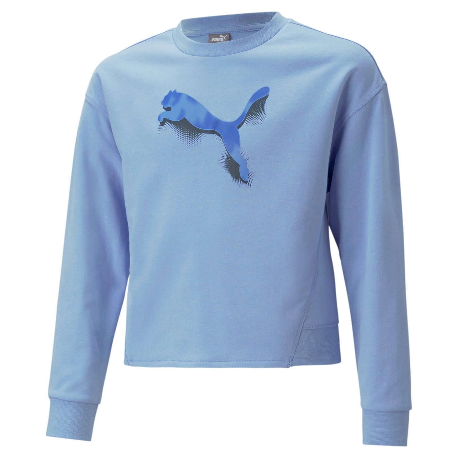 Fleecepullover Puma Mädchen Pullover Modern Sports Crew G 673475