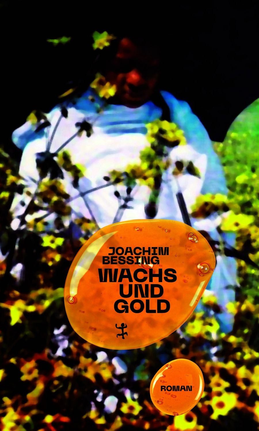Wachs und Gold / Joachim Bessing