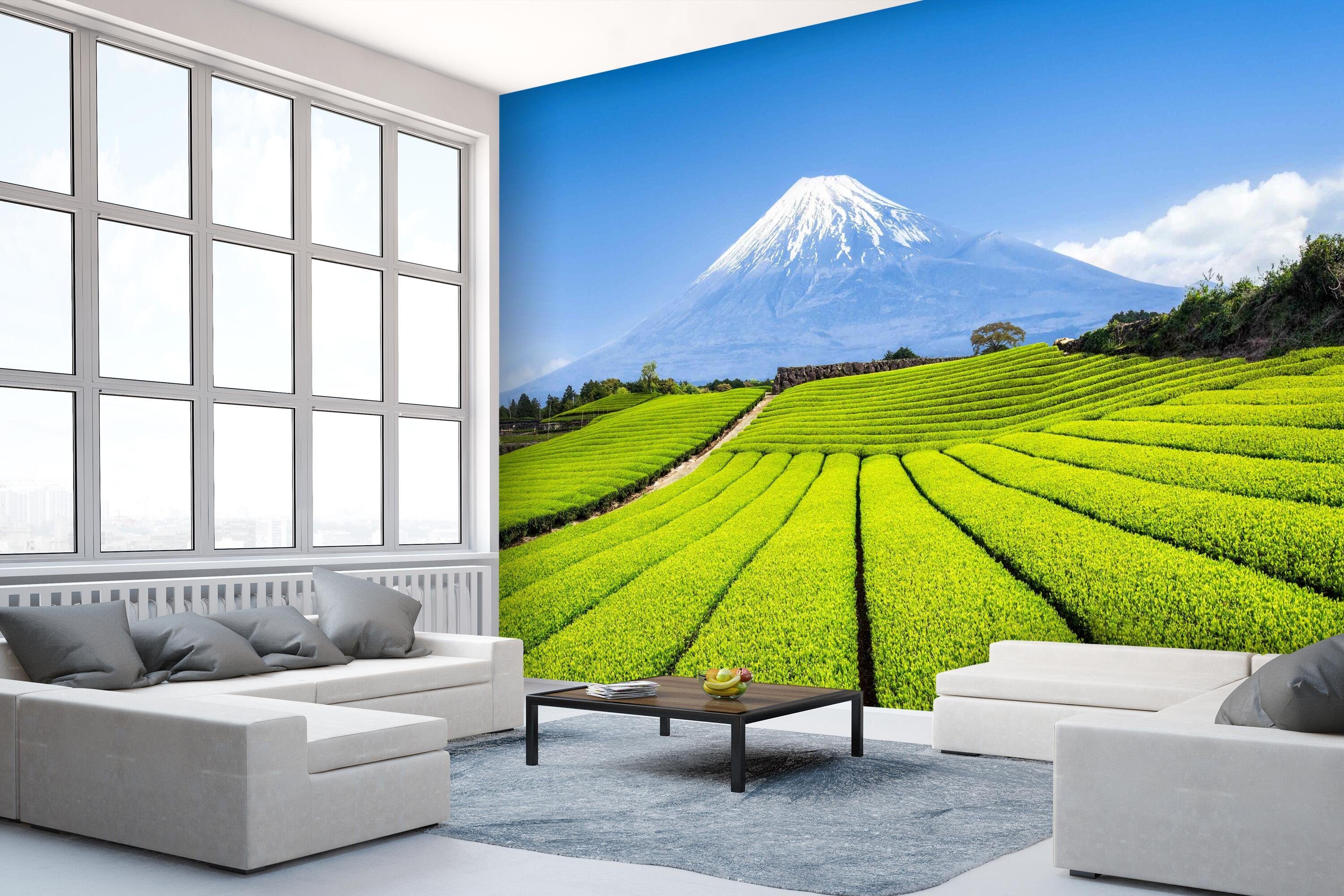 Wandtapete, Fototapete glatt, Motivtapete, Japanische Feld, matt, Landschaft wandmotiv24 Vliestapete