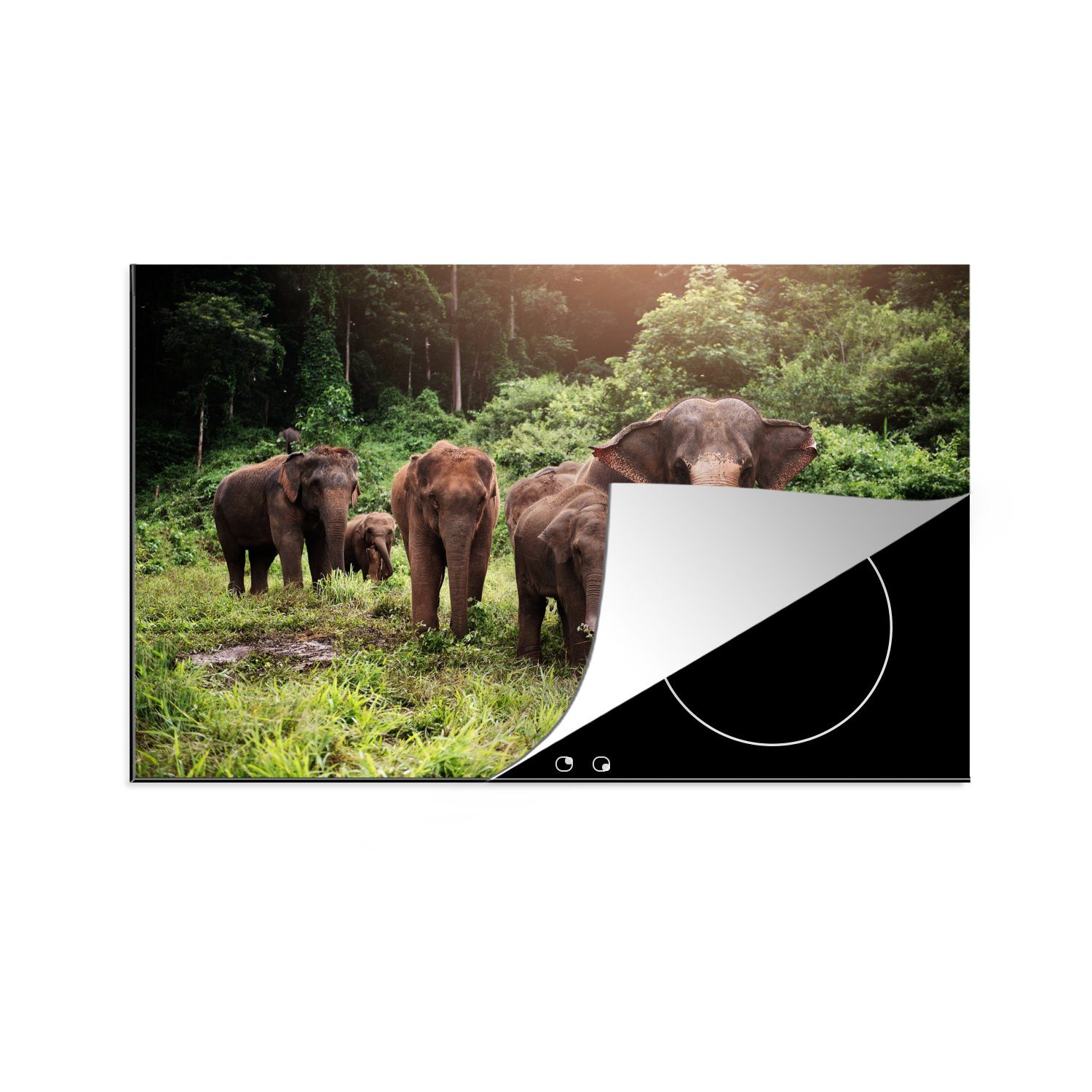 MuchoWow Herdblende-/Abdeckplatte Wilde Elefanten, Vinyl, (1 tlg), 81x52 cm, Induktionskochfeld Schutz für die küche, Ceranfeldabdeckung