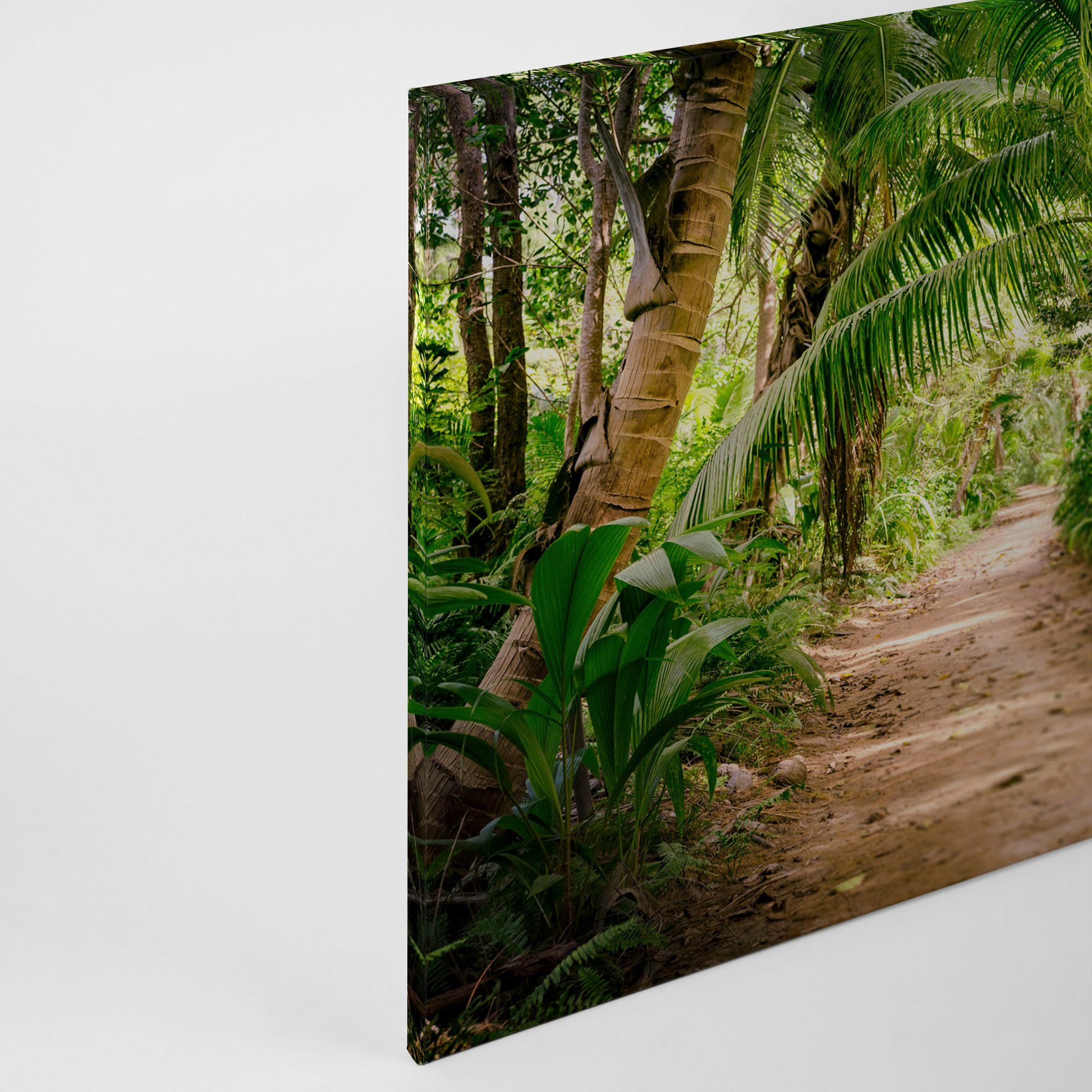 A.S. Création Leinwandbild Palm Keilrahmen Palmen Walk, (1 St), Natur Wald