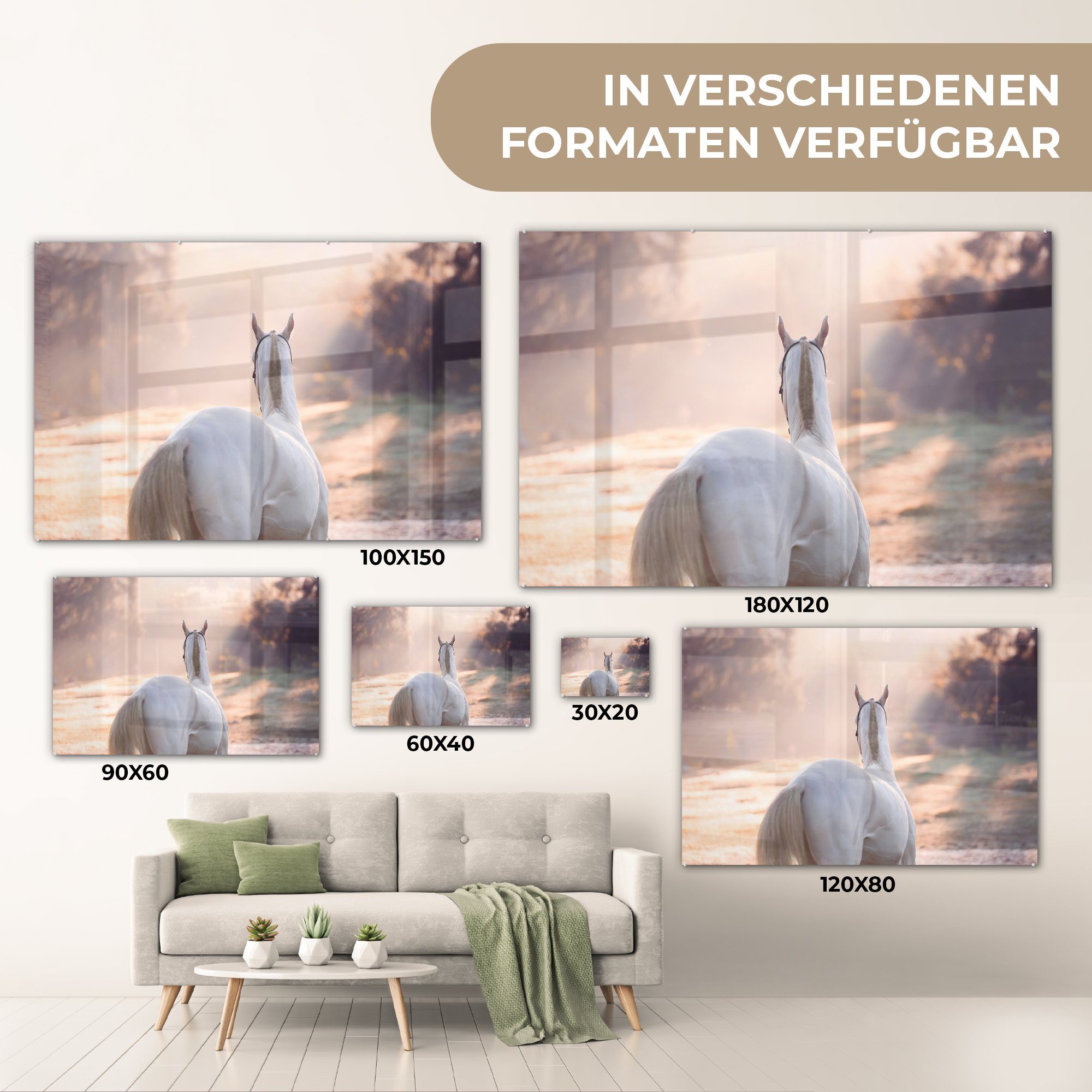 Schlafzimmer & - (1 St), MuchoWow Acrylglasbilder Pferde Baum, Acrylglasbild Licht - Wohnzimmer