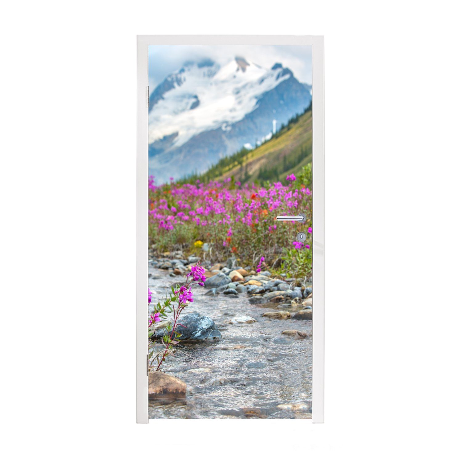 Blumen Türtapete für Tür, Matt, St), im Rosa Alberta, 75x205 Banff-Nationalpark, Fototapete bedruckt, Türaufkleber, (1 MuchoWow cm