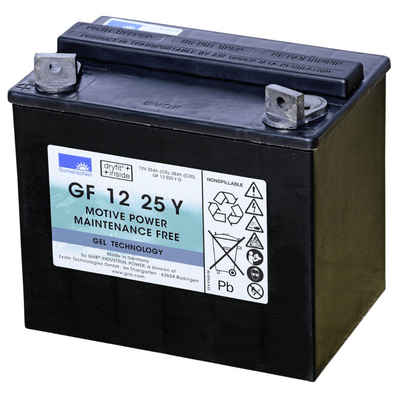 Sonnenschein Exide GNB Sonnenschein GF 12 025 Y G GEL 12V 25Ah Batterie Batterie, (12 V V)