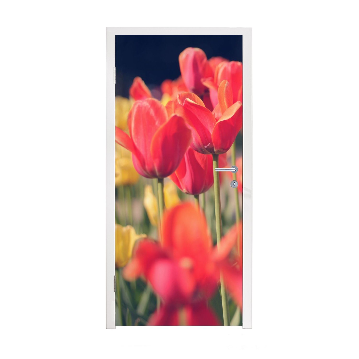 MuchoWow Türtapete Tulpen - Blumen - Natur, Matt, bedruckt, (1 St), Fototapete für Tür, Türaufkleber, 75x205 cm