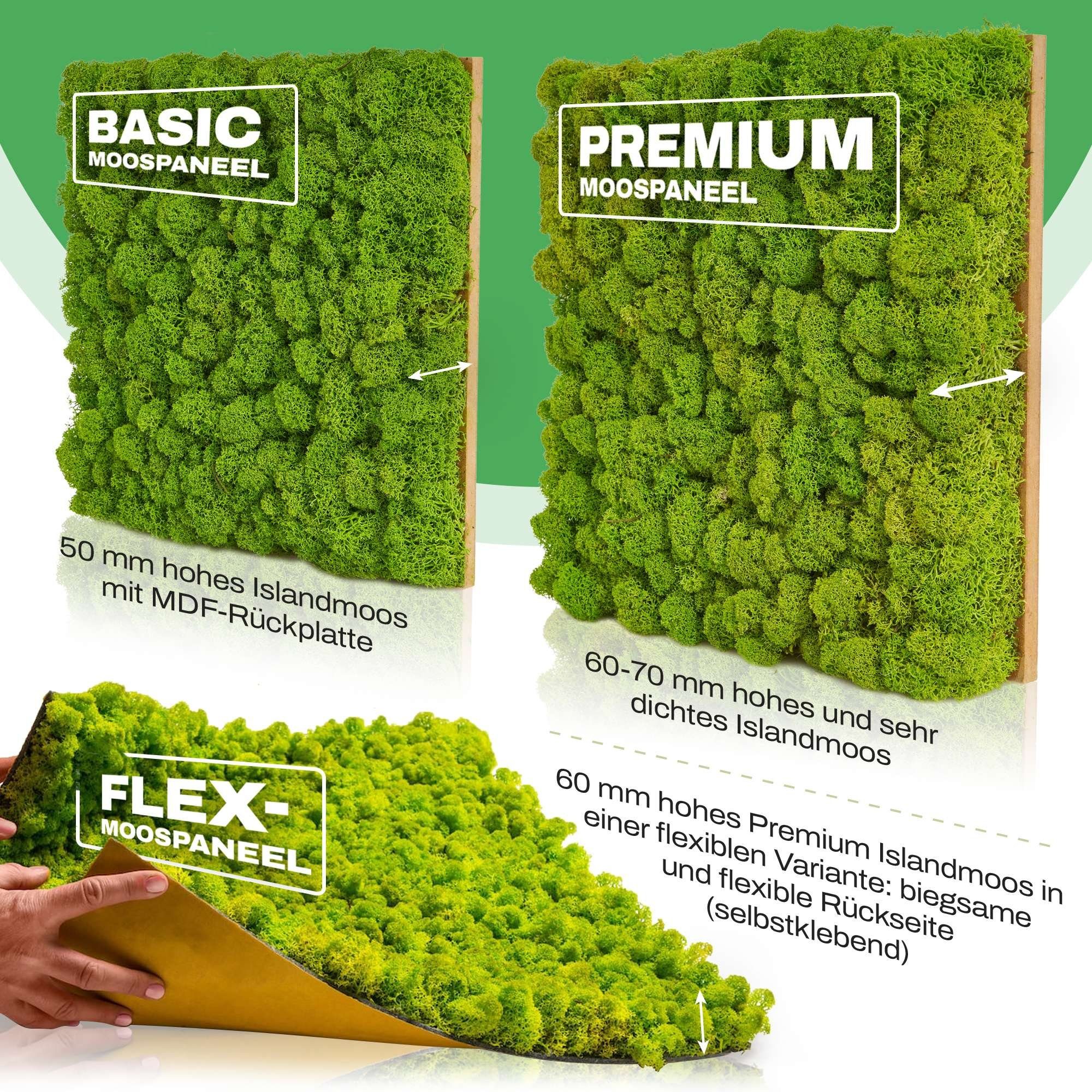 naturewalls Wandpaneel Moospaneele BASIC 50x50 - günstig online kaufen