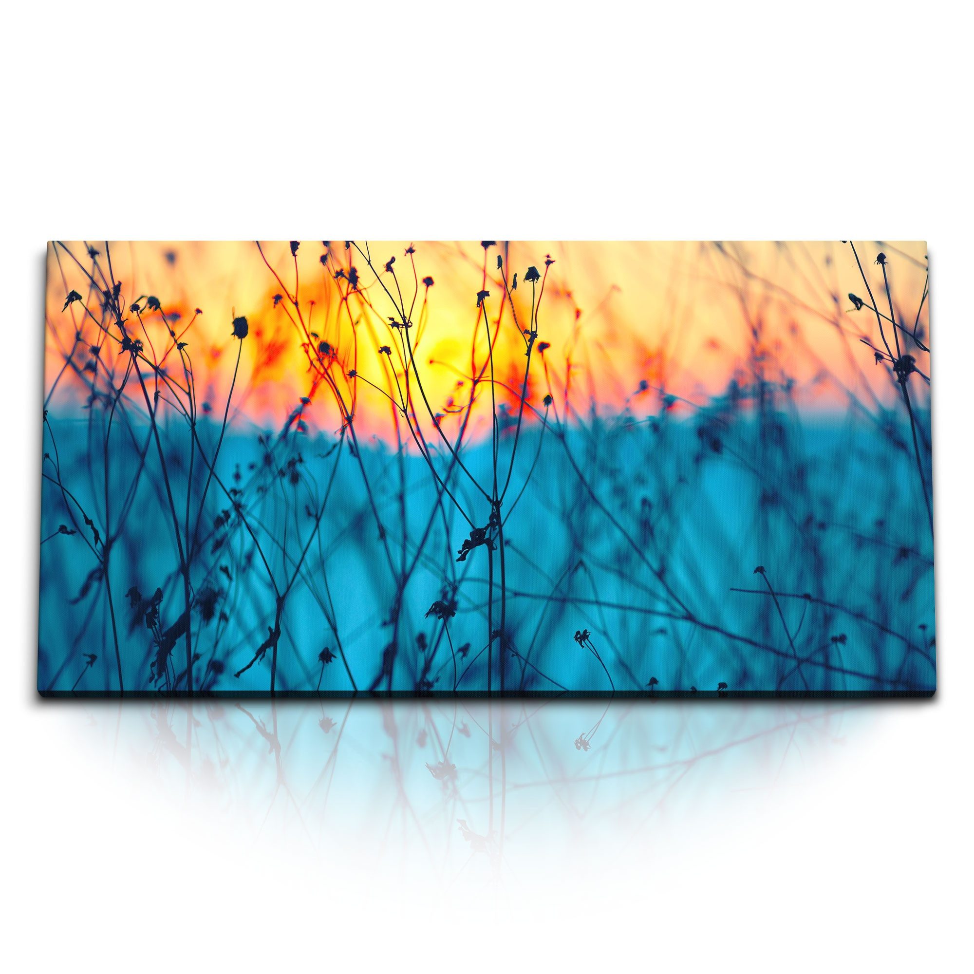 Leinwandbild Kunstdruck Bilder 120x60cm Sonnenuntergang Abendrot Natur Blau Gewächs