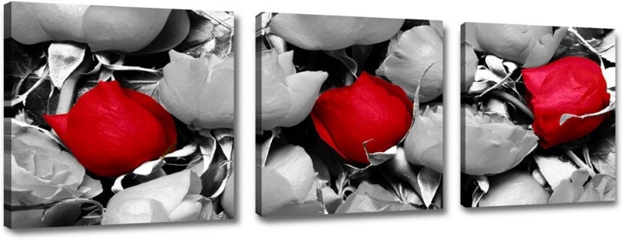 Kunstdruck 3er Set auf Holzrahmen + sofort aufhängbar 3 Teile à 50 x 50 cm