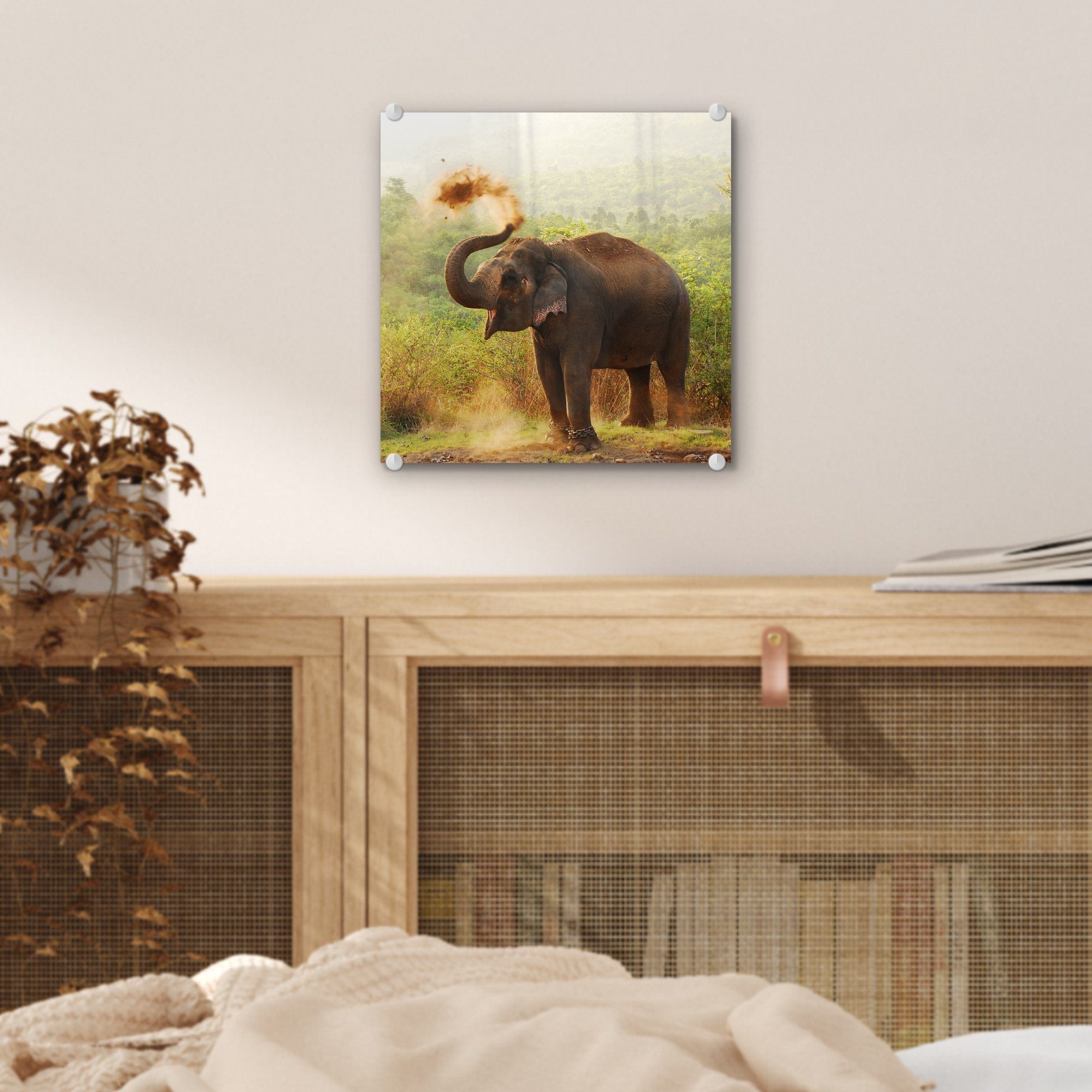 auf - auf Glas St), Foto - - MuchoWow Tiere Bilder Wald Wanddekoration Glasbilder - Acrylglasbild (1 - Glas Elefant - Bäume, Wandbild