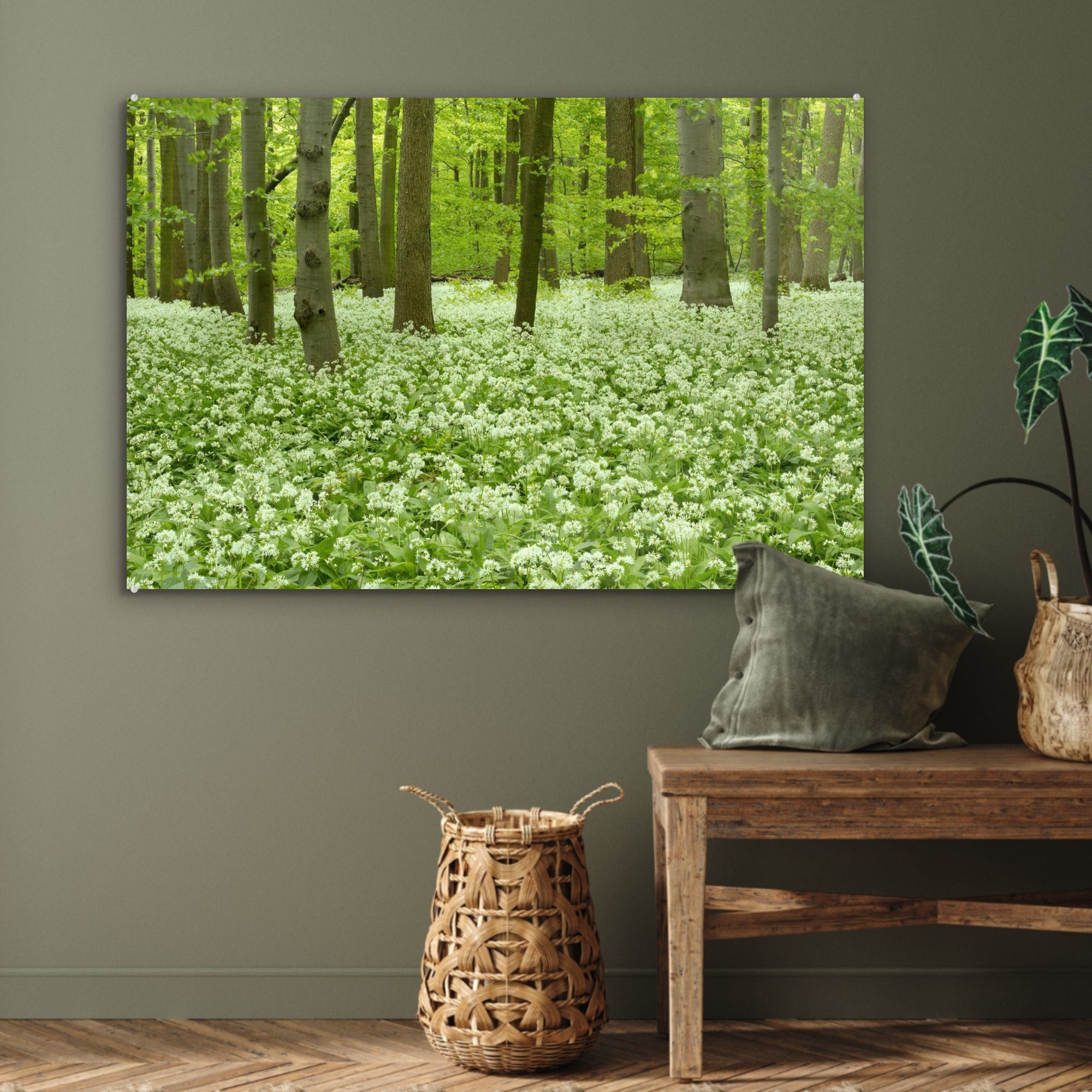 Weiße St), & Nationalparks (1 Wald in Acrylglasbilder einem Acrylglasbild MuchoWow blühenden Hainich des Blüten Wohnzimmer Schlafzimmer in,