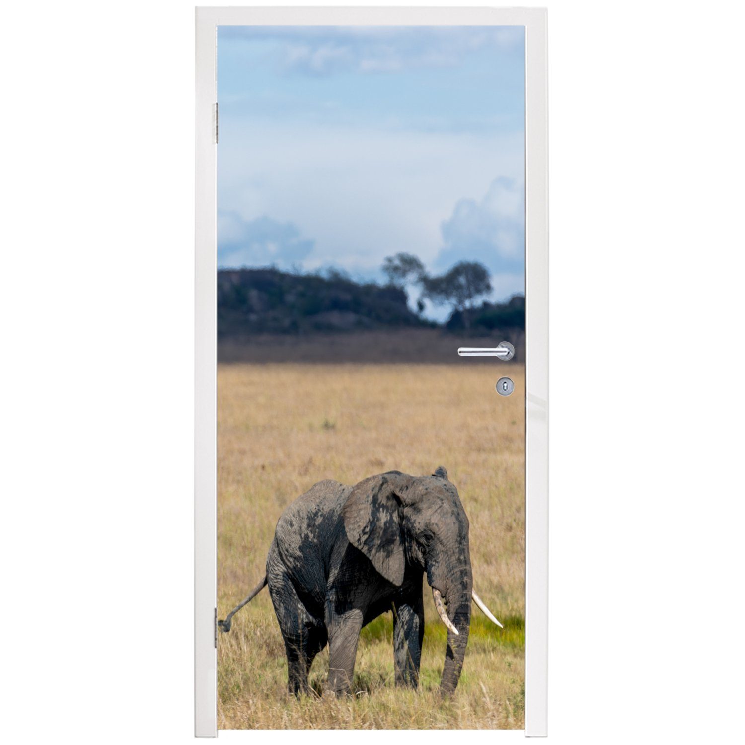 Natur, Matt, Elefant - Fototapete Gras Tür, bedruckt, Türtapete St), MuchoWow Türaufkleber, 75x205 für cm - - Tiere (1