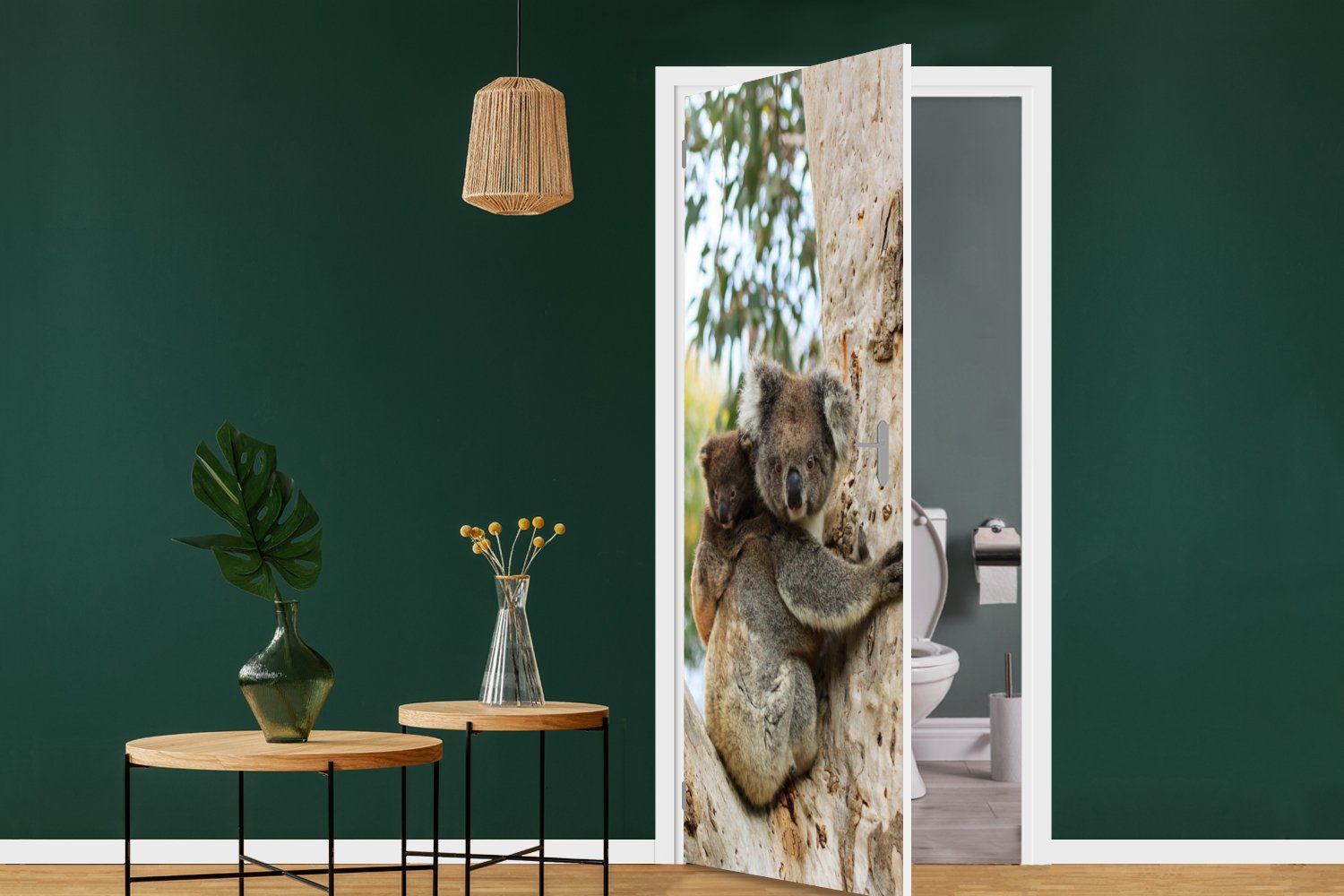Türaufkleber, Koalas Baum Fototapete - Tür, für Matt, Türtapete bedruckt, cm St), Kind - Jungen 75x205 Mädchen, - - MuchoWow (1