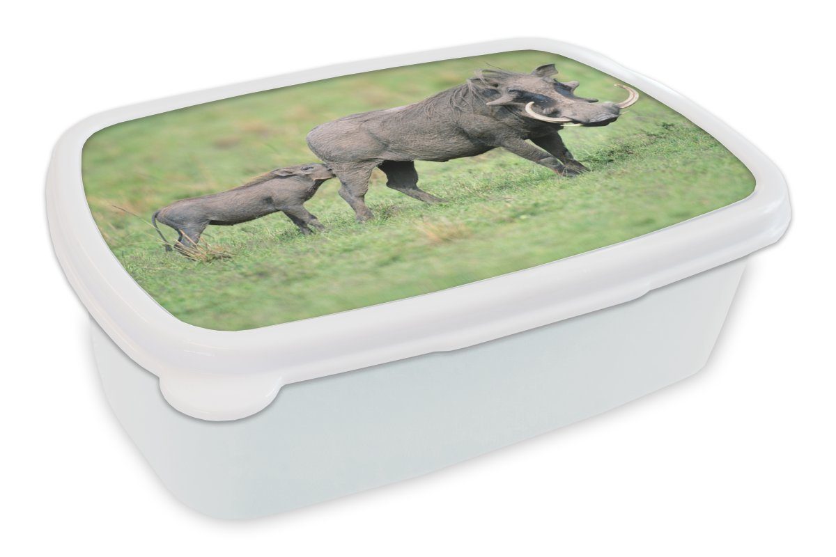 MuchoWow Lunchbox Wild - Schwein - Afrika, Kunststoff, (2-tlg), Brotbox für Kinder und Erwachsene, Brotdose, für Jungs und Mädchen weiß