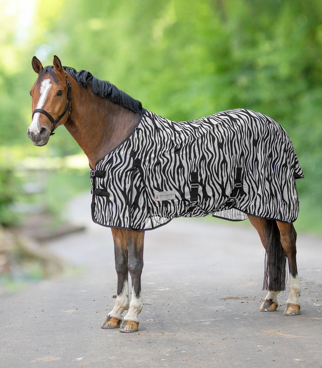 Waldhausen Pferde-Fliegendecke Waldhausen Fliegendecke Zebra