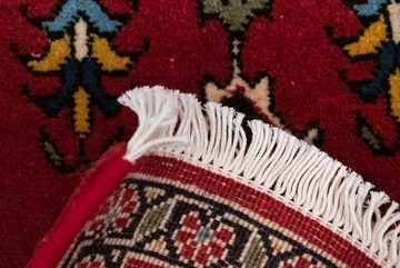 Wollteppich Ardebil Teppich handgeknüpft rot, morgenland, quadratisch, Höhe: 8 mm, handgeknüpft