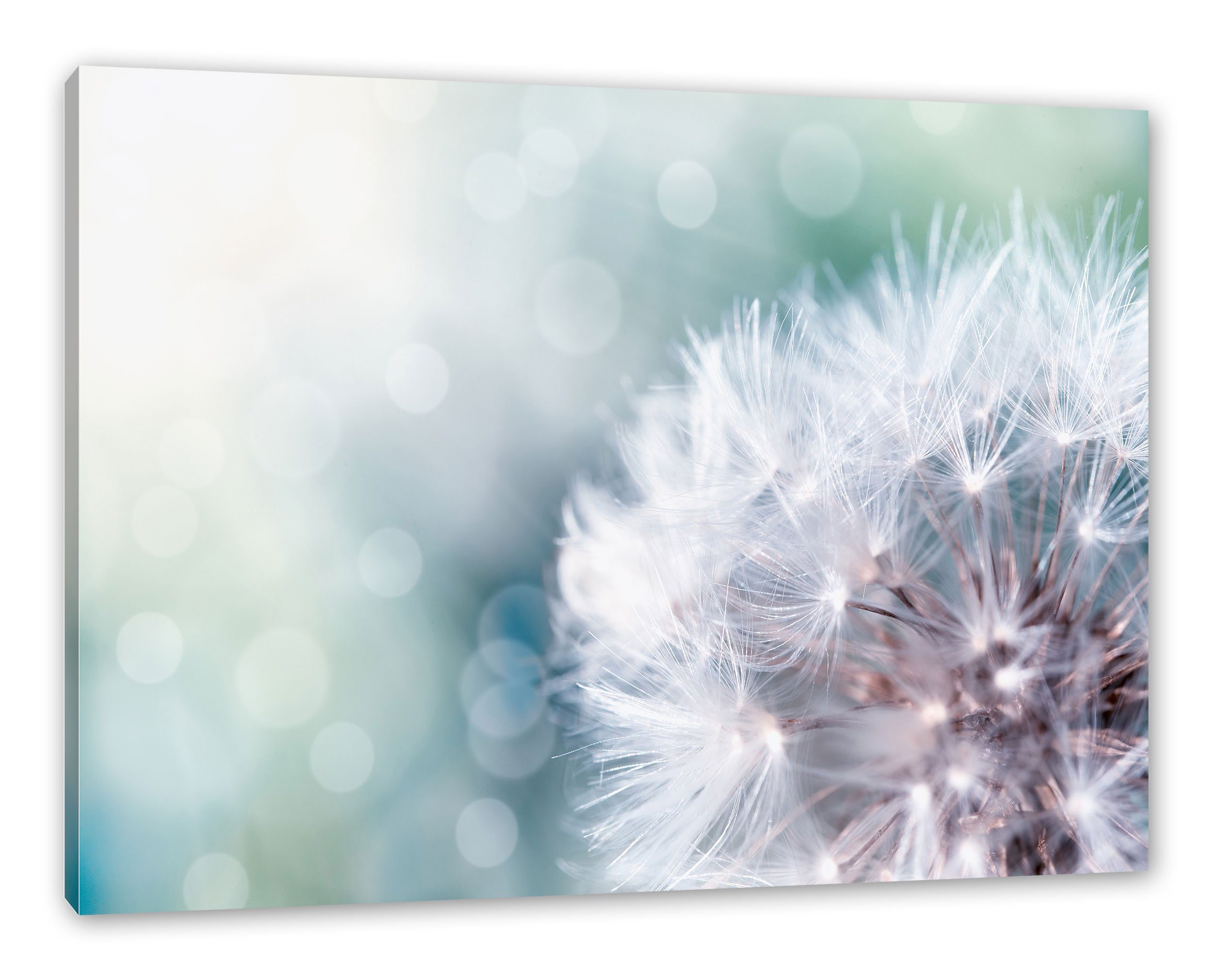 Pixxprint Leinwandbild Zauberhafte Pusteblume, Zauberhafte Pusteblume (1 St), Leinwandbild fertig bespannt, inkl. Zackenaufhänger