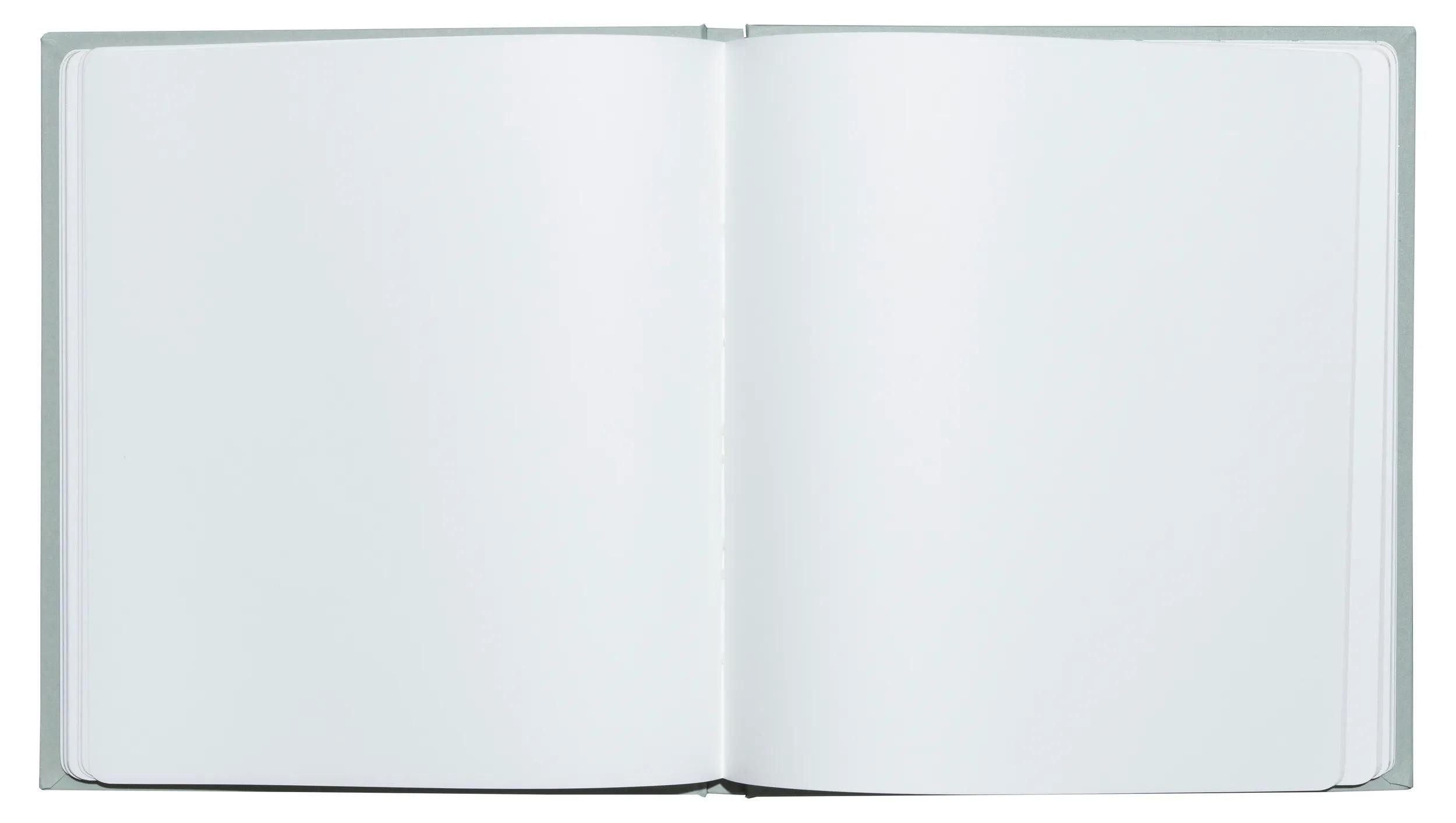 EXACOMPTA Fotoalbum Gästebuch 70 Bl blank Silberschnitt 21x19cm AutentiK Salbeigrün 47363E, Gästebücher Fancy