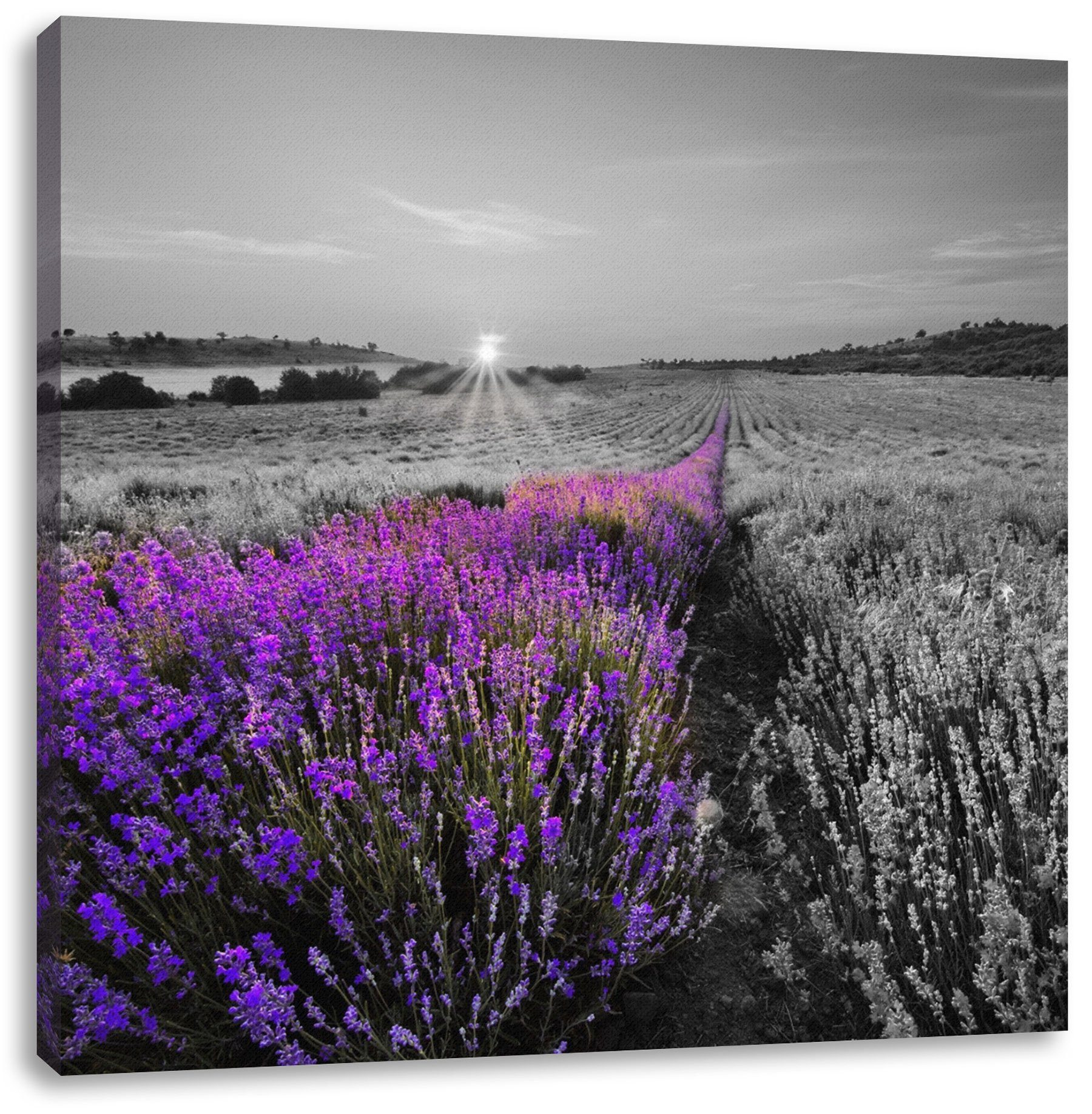 Pixxprint Leinwandbild (1 inkl. Frankreich, St), fertig bespannt, Leinwandbild Zackenaufhänger Lavendelfeld Frankreich in in Lavendelfeld