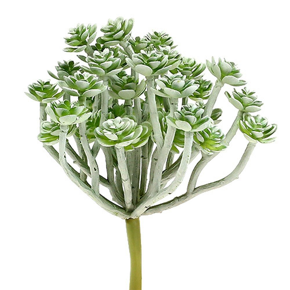 Kunstkaktus Künstliche Sukkulente Echeveria 17cm Grau im 3er Set für, 3 Stück, Florists Products, Höhe 6 cm