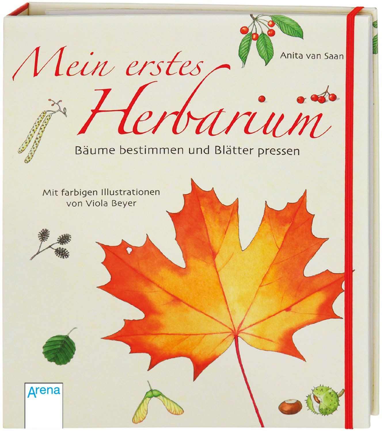 Kinderbuch Mein erstes Herbarium - Bäume bestimmen und Blätter pressen Anita van Saan