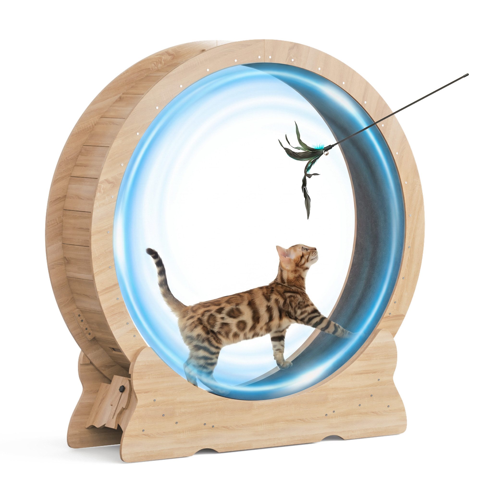 Mondeer Tier-Intelligenzspielzeug Katzenlaufrad, MDF, Innendurchmesser 100cm Leises Scrollrad und Sicherheitsschloss-Design