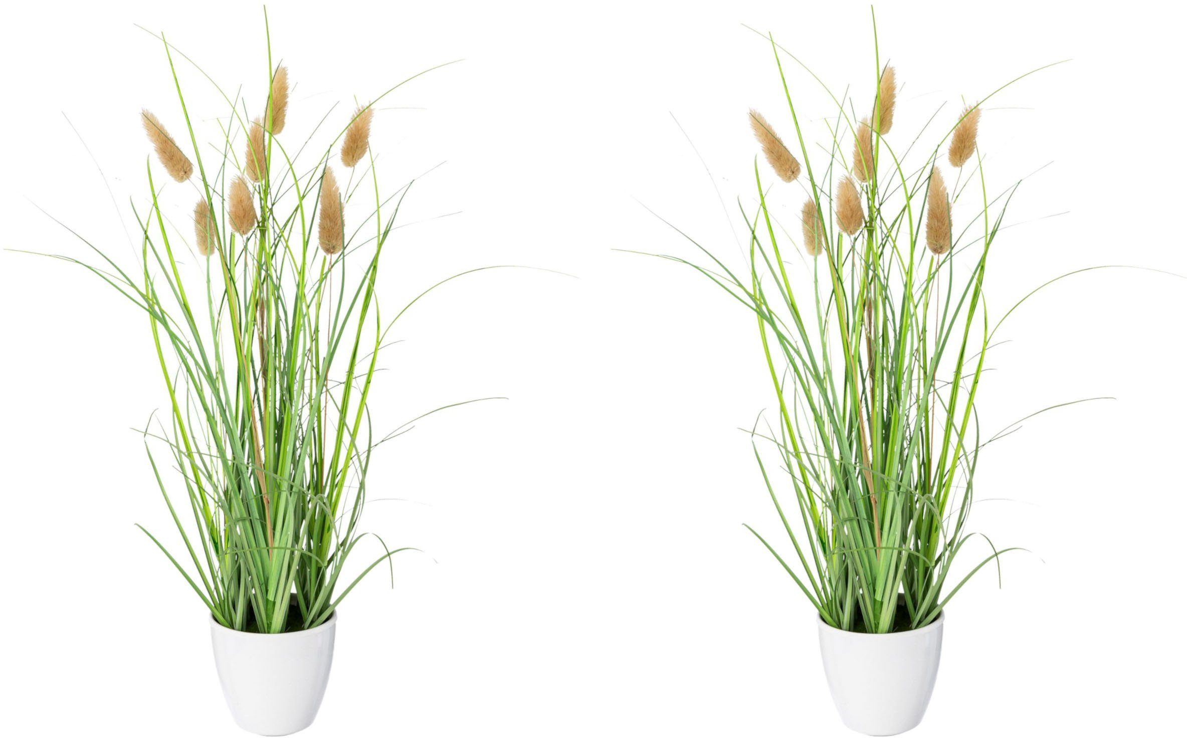 Kunstgras Grasbusch Lagurus Gras, Creativ green, günstig online kaufen