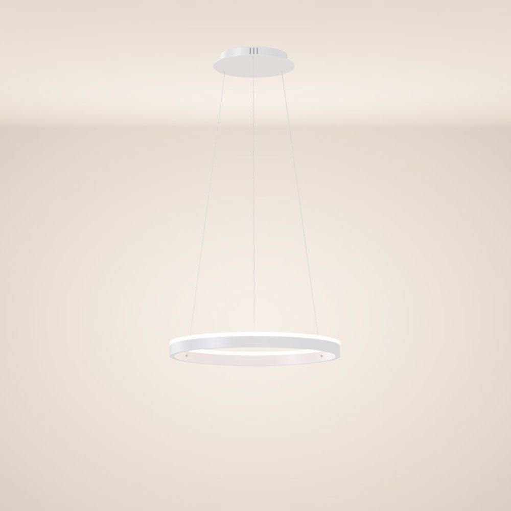 s.luce Pendelleuchte LED Ring Pendelleuchte rund Direkt oder Indirekt Weiß, günstig online kaufen