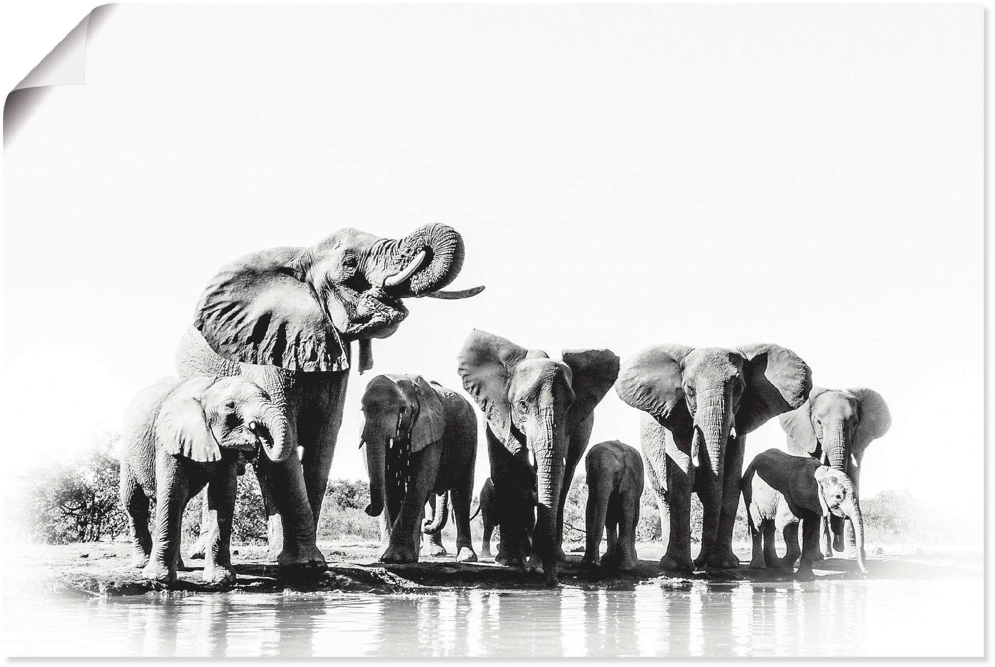 Artland Wandbild Elefanten am Alubild, als Elefanten Größen oder in versch. Wandaufkleber (1 Poster St), Wasserloch, Bilder Leinwandbild
