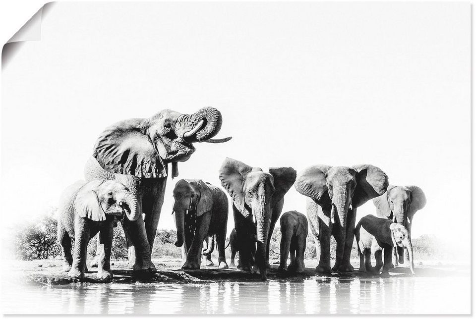 Artland Wandbild Elefanten am Wasserloch, Elefanten Bilder (1 St), als  Alubild, Leinwandbild, Wandaufkleber oder Poster in versch. Größen