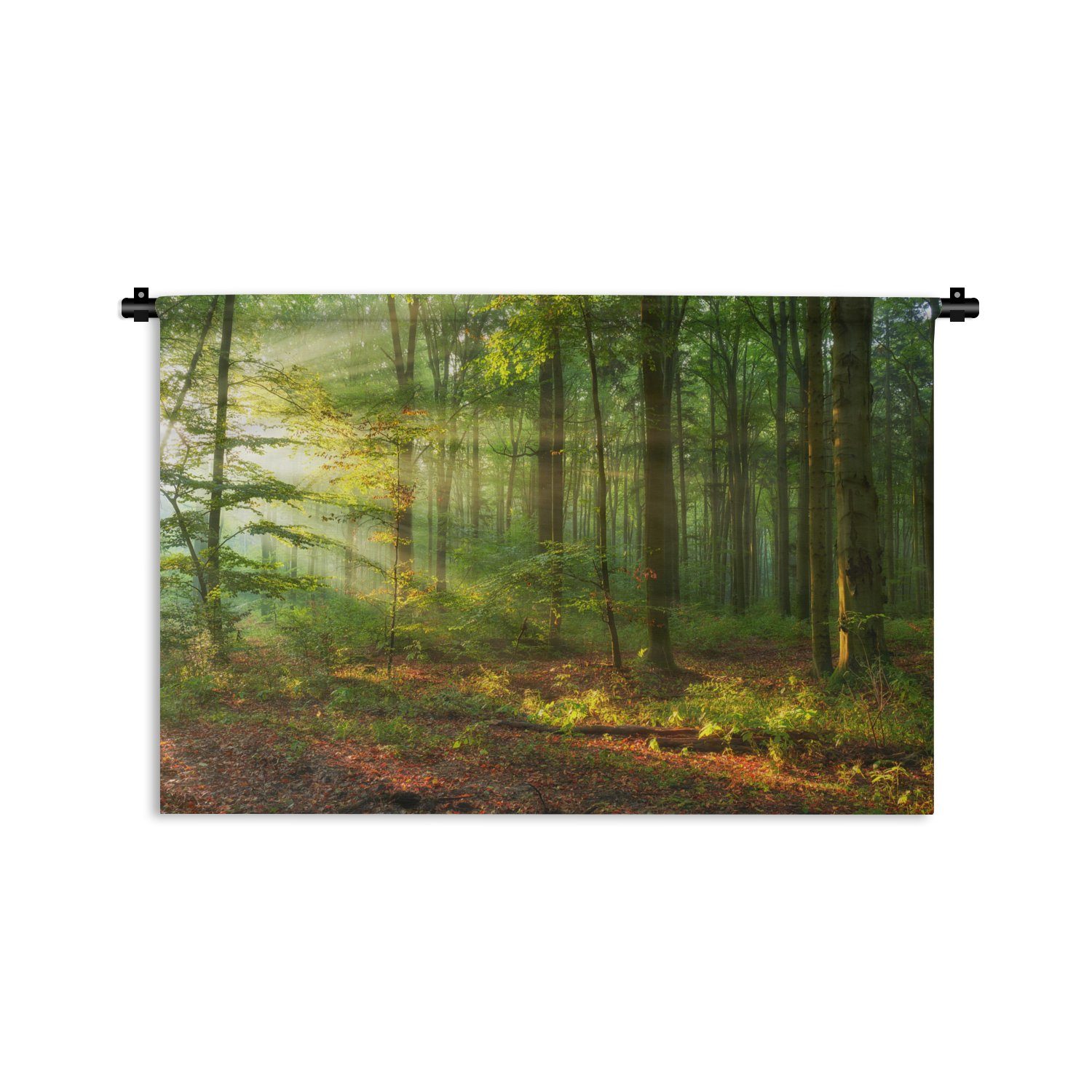 MuchoWow Wanddekoobjekt Sonne - Wald - Bäume - Natur - Herbst, Wanddeko für Wohnzimmer, Schlafzimmer, Kleid, Wandbehang, Kinderzimmer