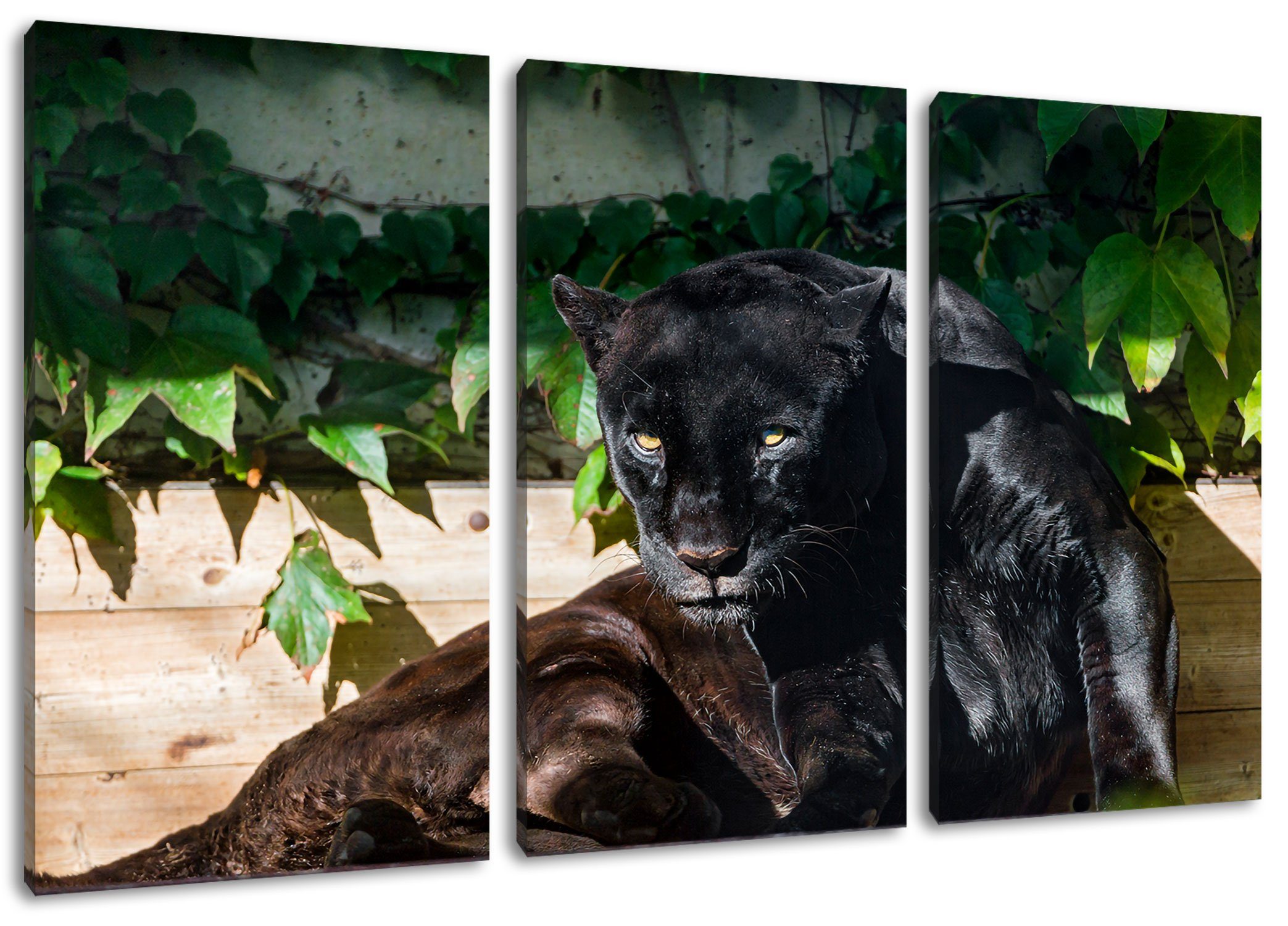 Pixxprint Leinwandbild schwarzer Panther, schwarzer Panther 3Teiler (120x80cm) (1 St), Leinwandbild fertig bespannt, inkl. Zackenaufhänger | Leinwandbilder