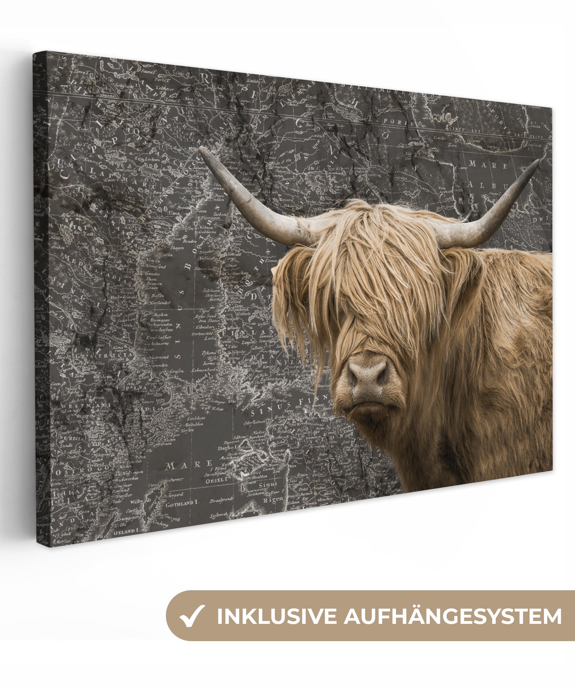 OneMillionCanvasses® Leinwandbild Schottische Highlander - Weltkarte - Kuh, (1 St), Wandbild Leinwandbilder, Aufhängefertig, Wanddeko, 30x20 cm