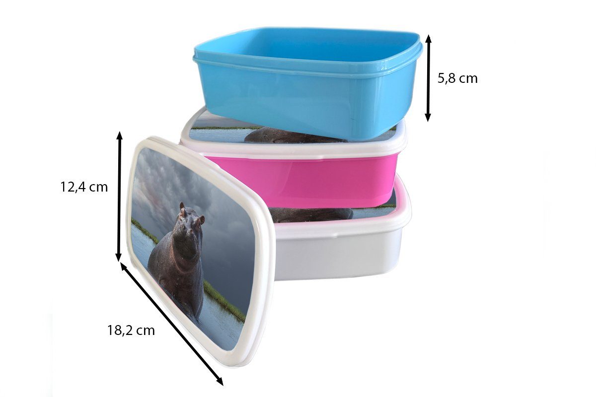 Kunststoff, MuchoWow Brotdose, Brotbox Jungs Nilpferd weiß und für für Kinder Wasser Lunchbox (2-tlg), - Erwachsene, Mädchen - und Wolken,