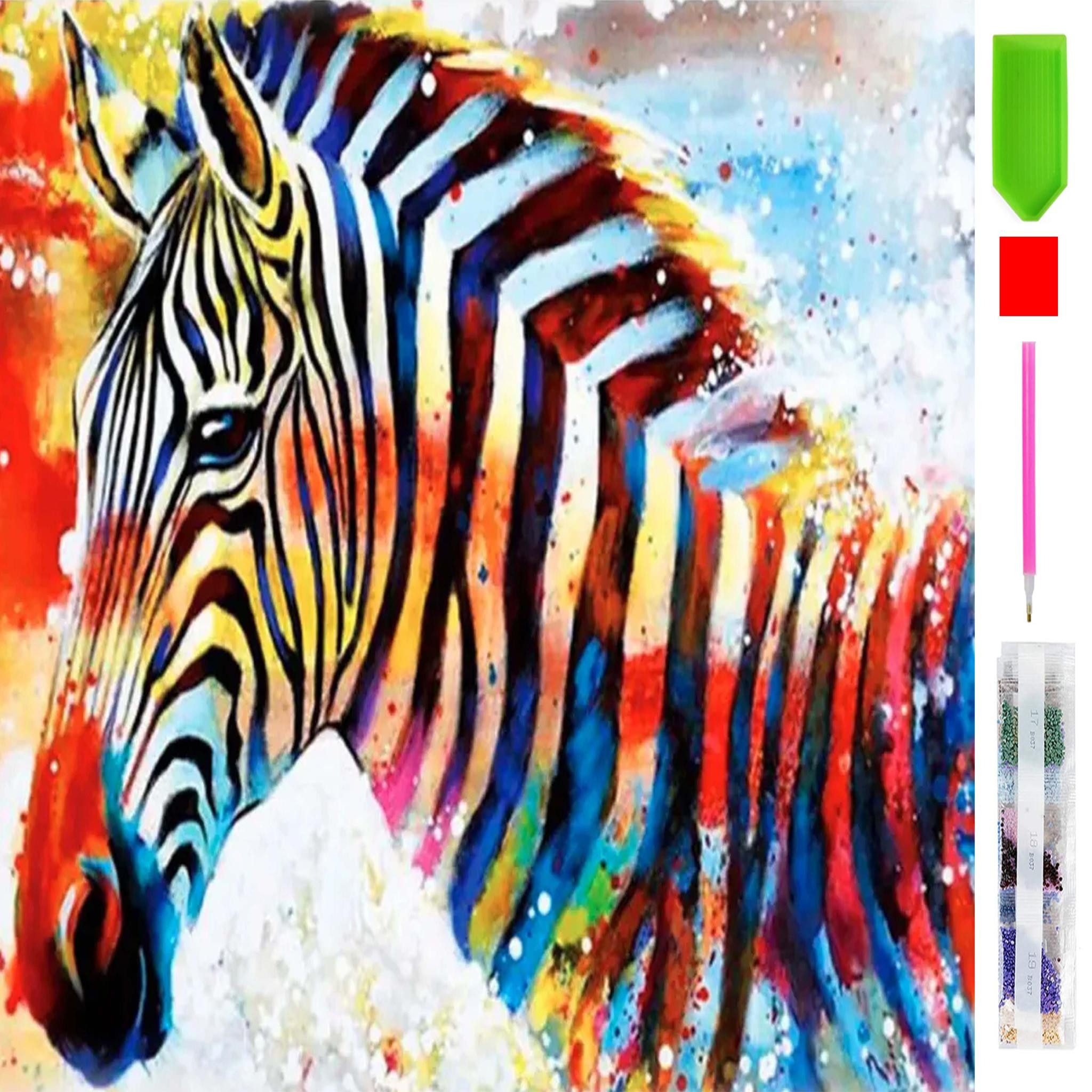 Malen nach Zahlen 5d Diamond Painting Buntes Zebra Malen nach Zahlen 20x30cm